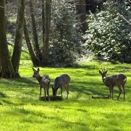 Les Du Mouliot Piscine Et Prive En Foret Proche * Saint-André-de-Seignaux