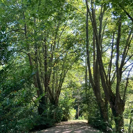 Les Du Mouliot Piscine Et Prive En Foret Proche Penzion
