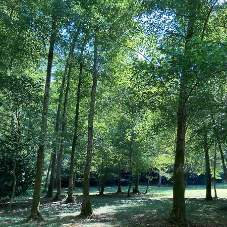 Les Du Mouliot Piscine Et Prive En Foret Proche Penzion *