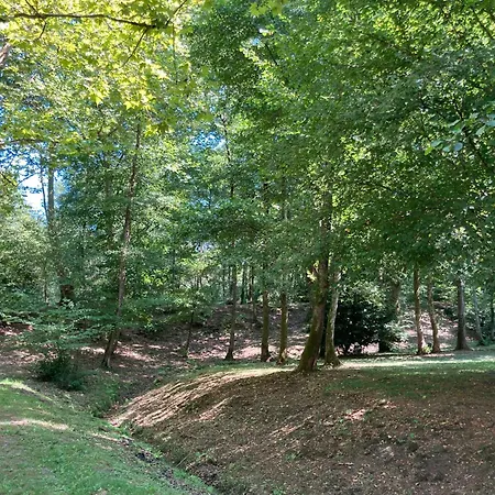 Les Du Mouliot Piscine Et Prive En Foret Proche Penzion Saint-André-de-Seignaux