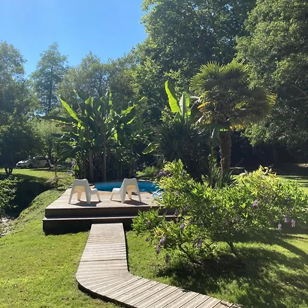 Les Du Mouliot Piscine Et Prive En Foret Proche Saint-André-de-Seignaux