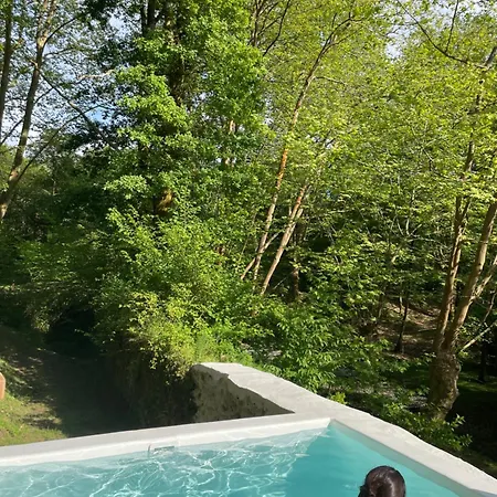 Les Du Mouliot Piscine Et Prive En Foret Proche Penzion
