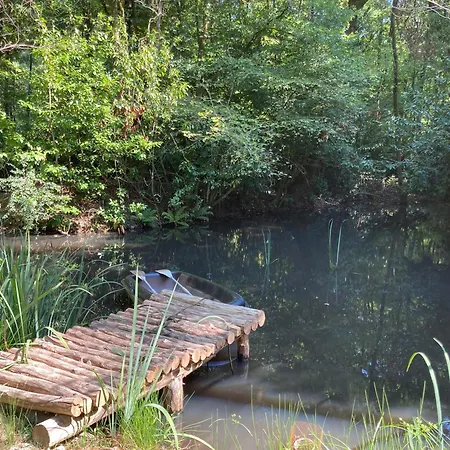 Les Du Mouliot Piscine Et Prive En Foret Proche